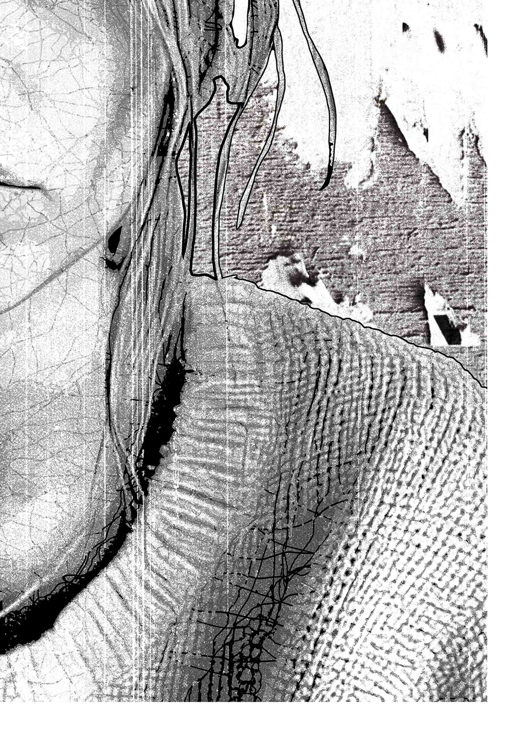 Margot